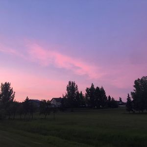 Meet your Posher, Kwyn